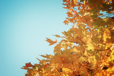 Similar image 8469308