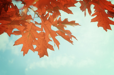 Similar image 8469309