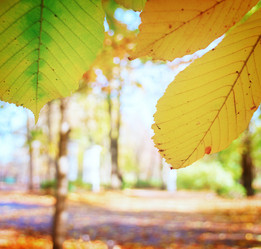 Similar image 8469310