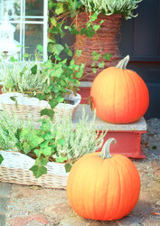 Similar image 8469311