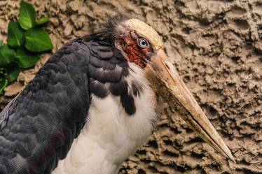 Similar image 8470209