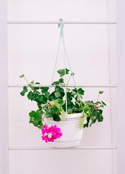 Similar image 8470217