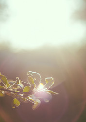 Similar image 8470227