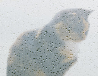 Similar image 8470241