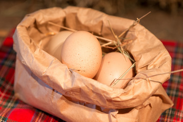 Similar image 8470314