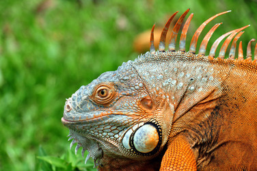 Similar image 8470477