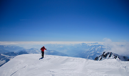 Similar image 8470536