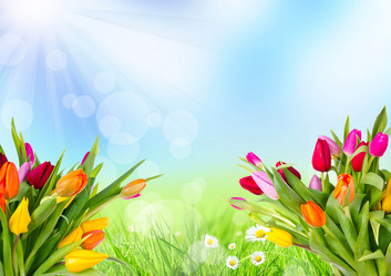 Similar image 8470543