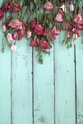 Similar image 8470713