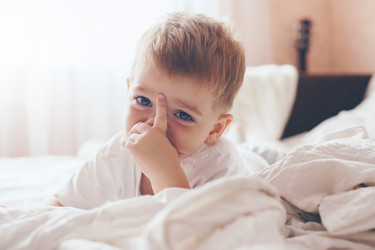 Similar image 8470746