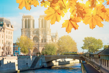 Similar image 8471322