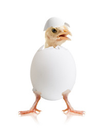 Similar image 8471342