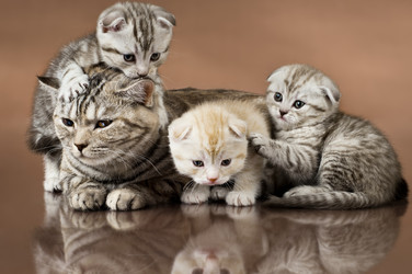 Similar image 8471344