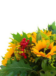 Similar image 8471369