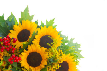 Similar image 8471370