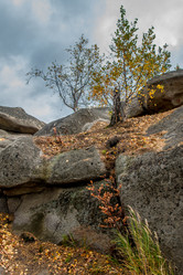 Similar image 8471379