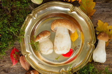 Similar image 8471396