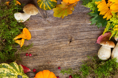 Similar image 8471398