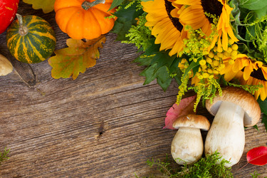 Similar image 8471399