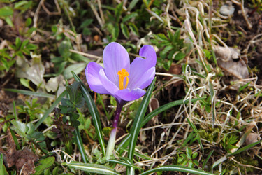 Similar image 8471465