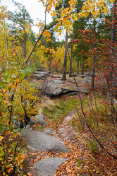 Similar image 8471479