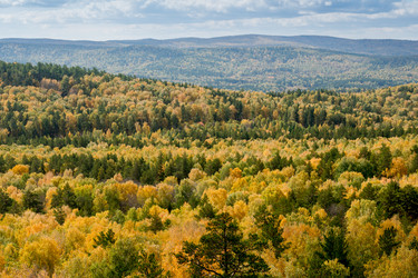 Similar image 8471485