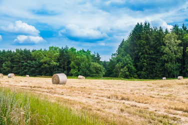 Similar image 8471490