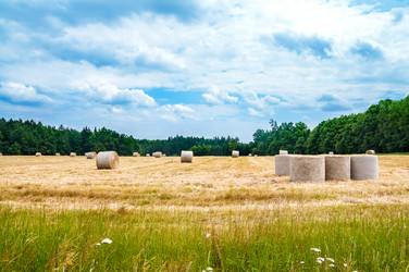 Similar image 8471491