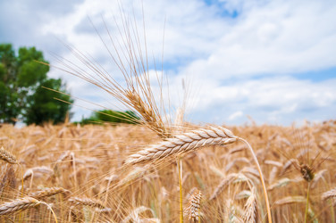 Similar image 8471492