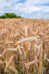 Similar image 8471493