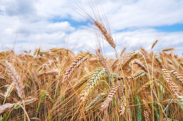 Similar image 8471494