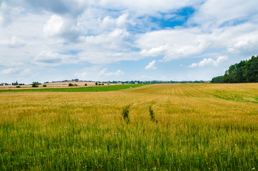 Similar image 8471556