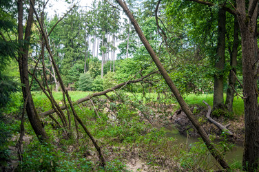 Similar image 8471560