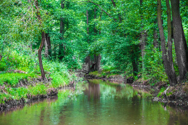 Similar image 8471564