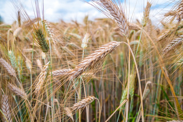 Similar image 8471574