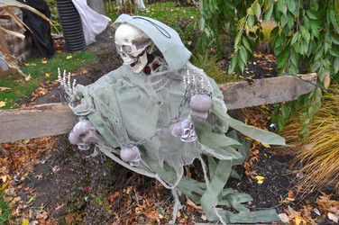 Similar image 8471603