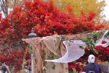 Similar image 8471604