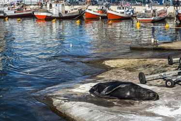 Similar image 8471611