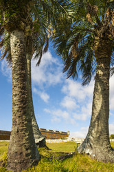 Similar image 8471612