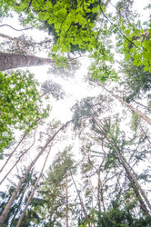 Similar image 8471716