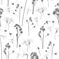 Similar image 8471887