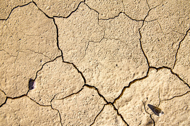 Similar image 8471975