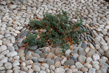 Similar image 8472029