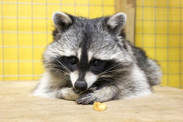 Similar image 8472094