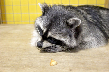 Similar image 8472095