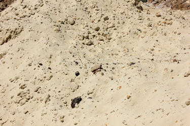 Similar image 8472202