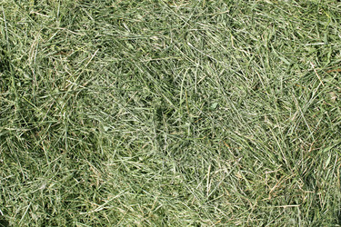 Similar image 8472224