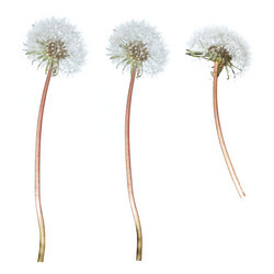 Similar image 8472835