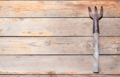 Similar image 8472836