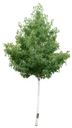 Similar image 8472864